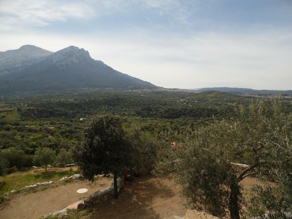 Villa L'Oleandro Ольена Экстерьер фото